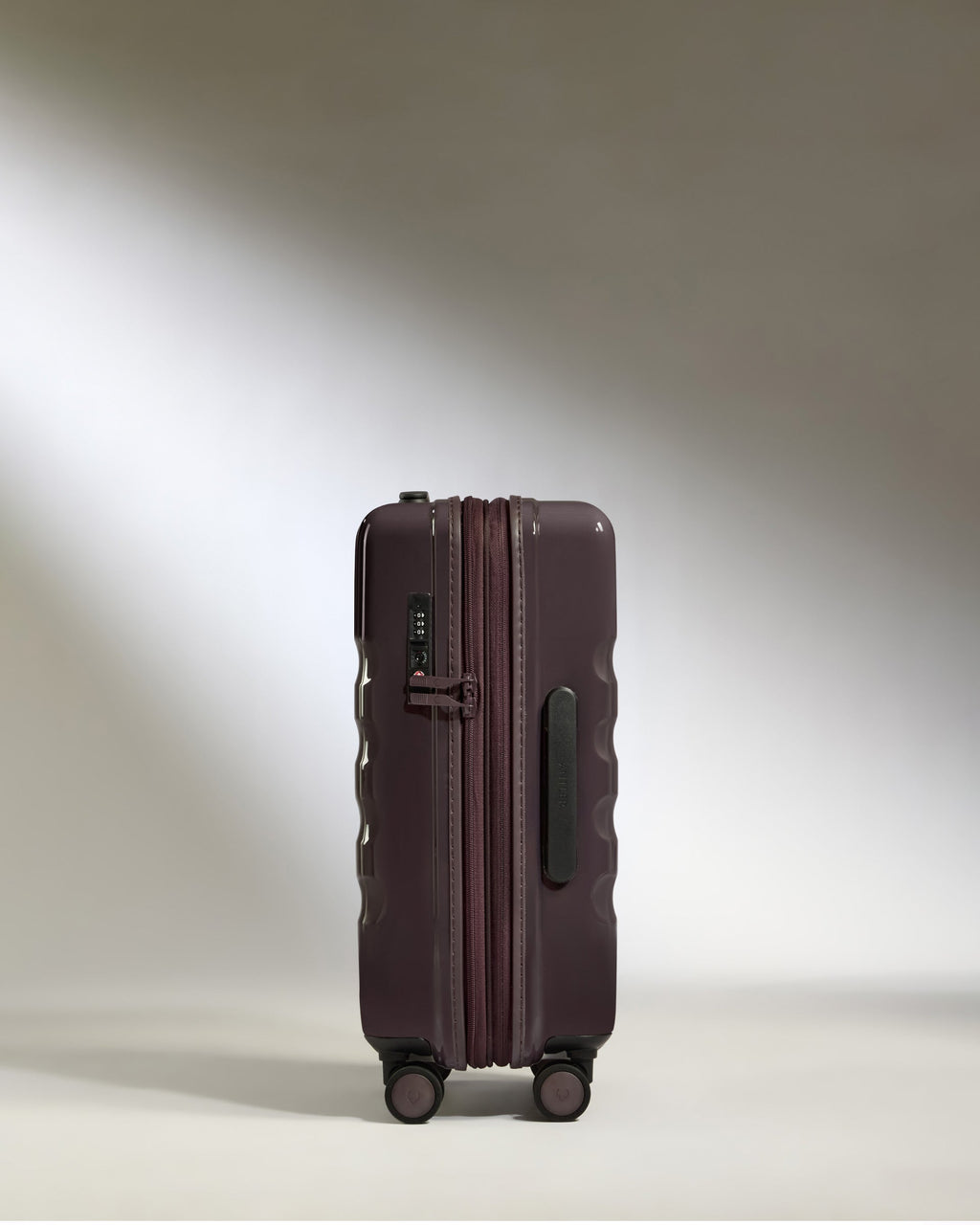 Expandable Cabin Suitcase in Hedgerow Gloss - Icon Stripe