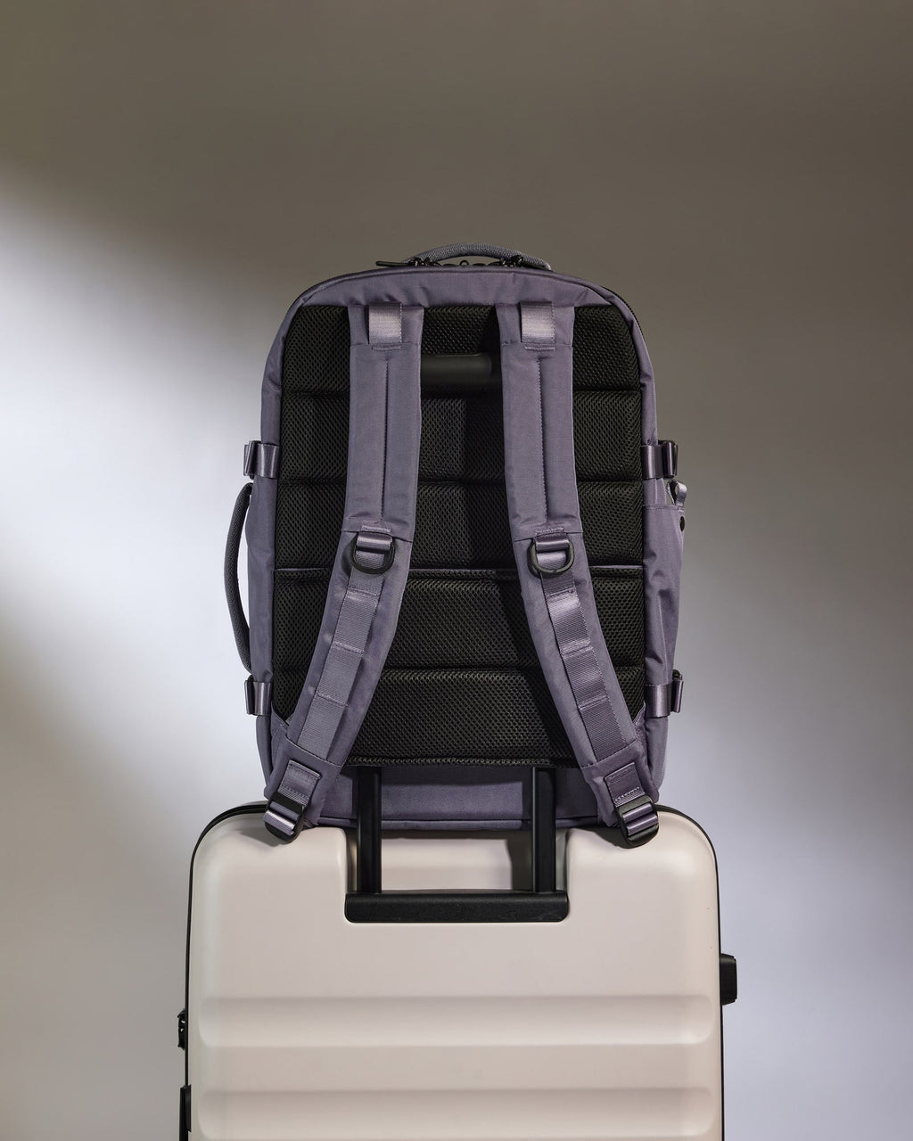 Discovery 28L Backpack in Meadow Purple