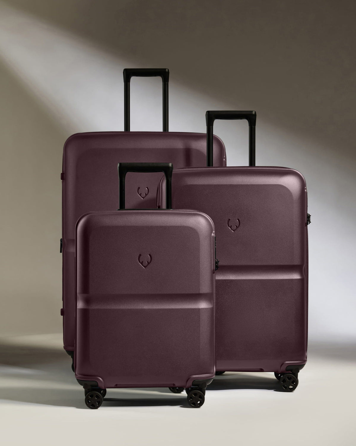 Suitcase Set in Lagoon Purple - Single Stripe